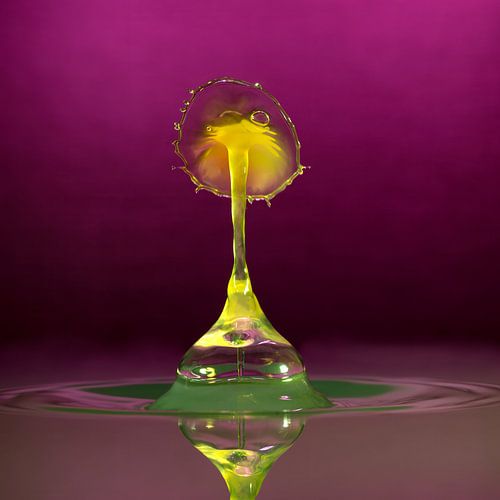 Wassertropfen-Fotografie