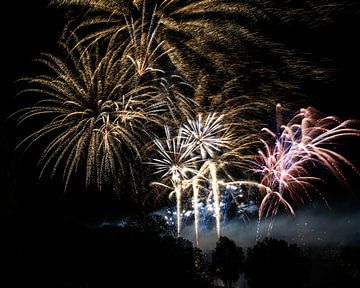 Groot vuurwerkspektakel in een park van ManfredFotos