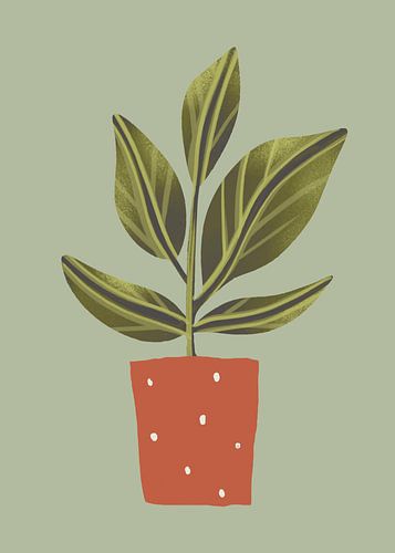 TW living - botanic home 2