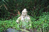Sensei