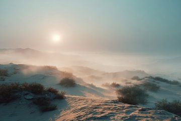 Douce lumière du matin sur des dunes tranquilles sur Femea Stille Landschappen