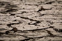 Summer Dry