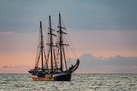 Segelschiff auf der Hanse Sail in Rostock von Rico Ködder Miniaturansicht