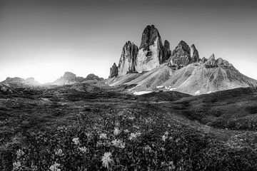 Ambiance matinale près des Trois Cimets dans les Dolomites. Image en noir et blanc sur Manfred Voss, Schwarz-weiss Fotografie