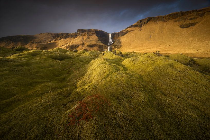 Le champ de mousse, Islande par Sven Broeckx