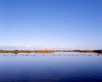 Reitdiep bij Electra