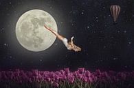 Sternenreiche Nacht von Mirjam Duizendstra Miniaturansicht