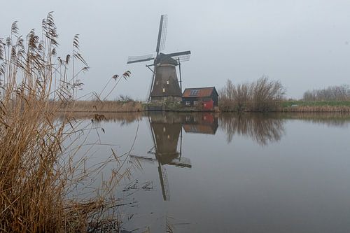 Kinderdijk windmill in the fog
