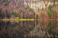 Feldsee Schwarzwald II von Patrick Lohmüller Miniaturansicht