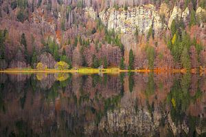 Feldsee Schwarzwald II