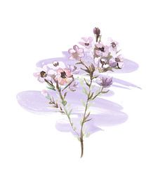 Flowers in beautiful pastel colours II