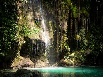 Filipijnen - Cebu Island - Een oase midden in de jungle van Rik Pijnenburg