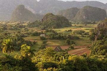 Vinales, Cuba sur Frans Bouvy