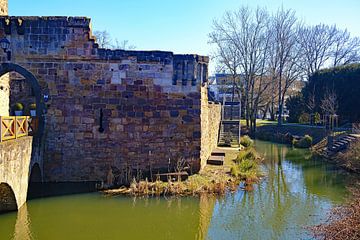 Burgruine Vilbel von Thomas Riess