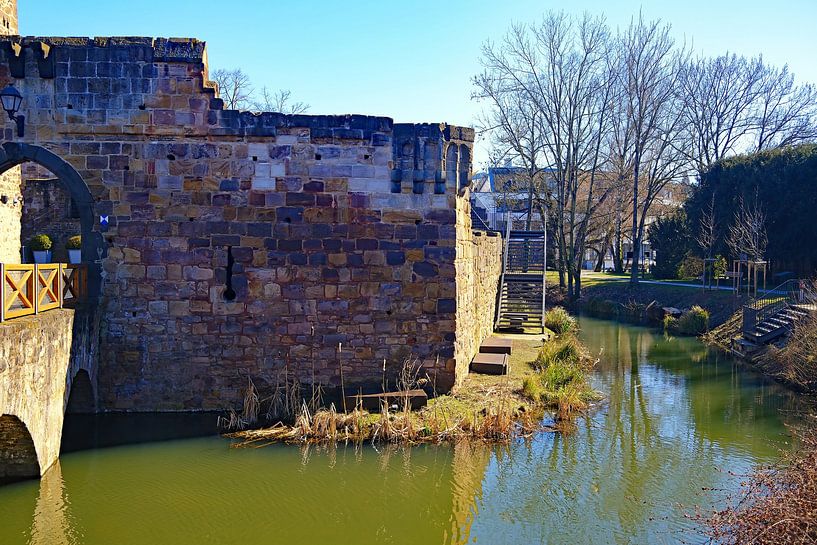 Burgruine Vilbel von Thomas Riess