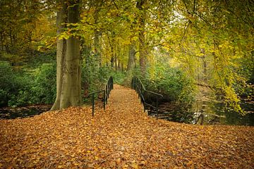 Der Herbst in seiner schönsten Form von Carla van Zomeren