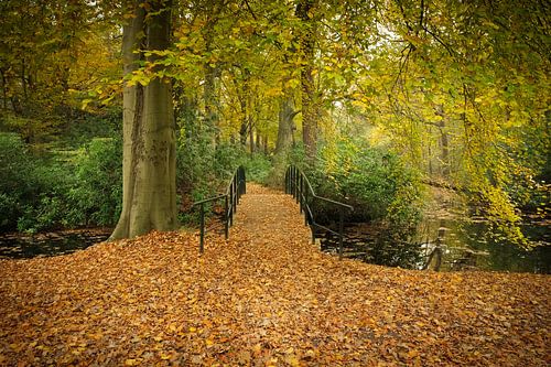 Herfst op z'n mooist