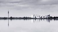 de windstilte in het Wormer- en Jisperveld creëert een prachtig spiegelbeeld op het wateroppervlak
