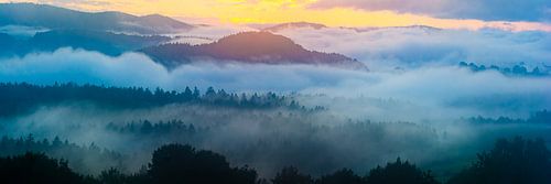 Avond in het Beierse Woud