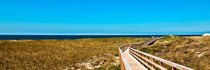 On the wooden path (widescreen photo) by Norbert Sülzner