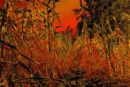 Taktik der verbrannten Erde.