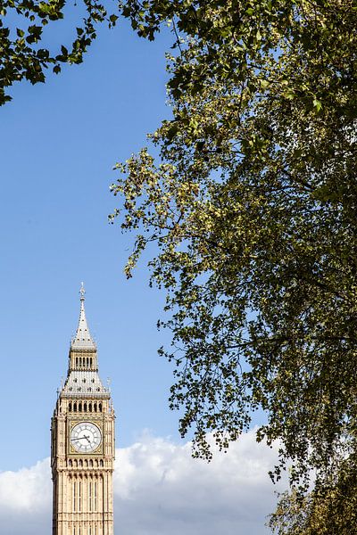 Big Ben in London by Eric van Nieuwland