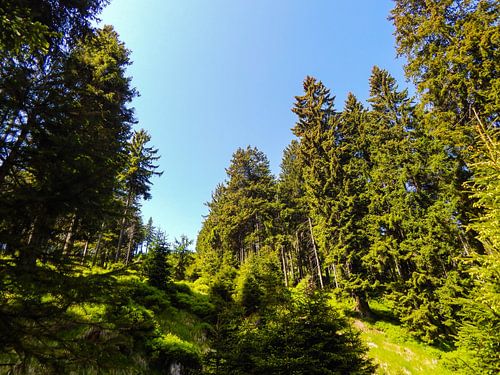 Sonniges Wetter im Harz von Treat of Freedom