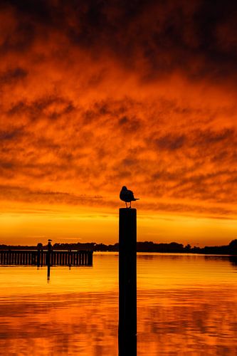 Coucher de soleil sur le lac Veere sur Ronnie Schuringa