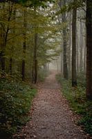 Herfst