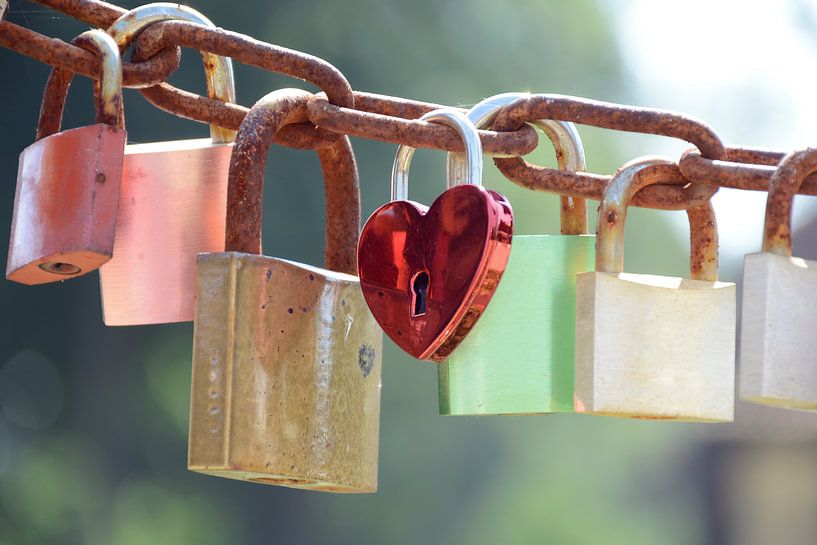 Love padlocks in different colors on a chain on a sunny day. by Evelien Doosje