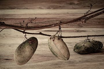 Modern Still Life Stones. Beige and Brown. by Alie Ekkelenkamp