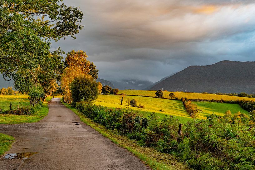 Autumn evening in the Ossau Valley by Hilke Maunder