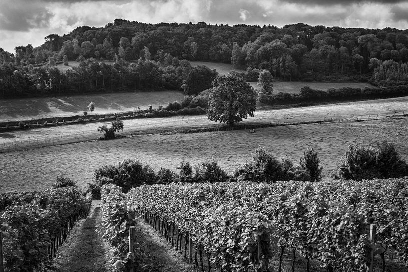Weingut am Dodemanweg (Stokhem) von Rob Boon