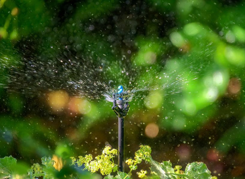 Irrigation system for the garden by ManfredFotos