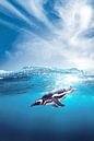 Penguin van Markus Bieck thumbnail