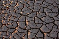 Earth in retreat - dry cracks in the Namibian desert