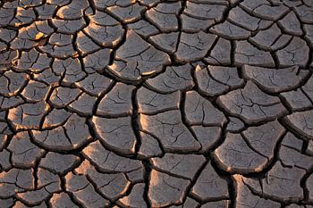 Erde im Rückzug – Trockenrisse in der namibischen Wüste