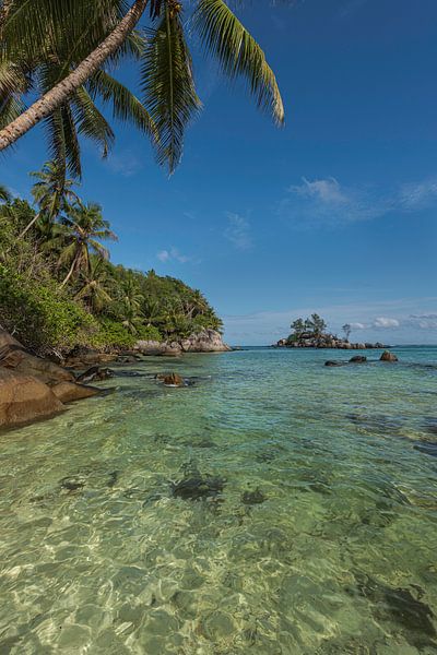 Die Seychellen - Mahé - Anse Royale von Shooting-Art