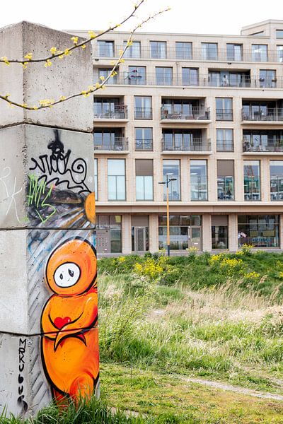 Graffitis à Utrecht par pauline smale