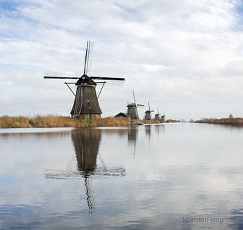 Windmühlen in Kinderdijk in einer Reihe