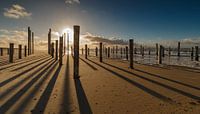 Palendorp Petten tijdens zonsondergang. von Menno Schaefer Miniaturansicht