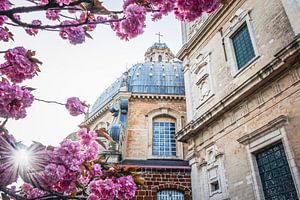 Die Basilika von Scherpenheuvel mit Blüten