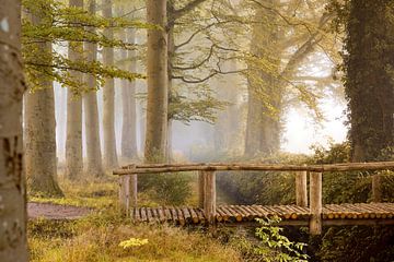 Houten brug in het herfstbos