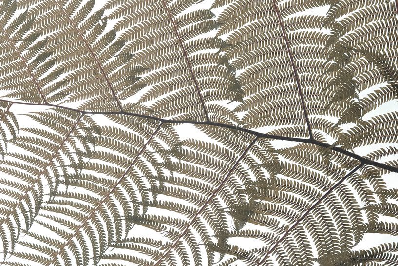 Botanisches Mosaik Natürlich von Bianca ter Riet