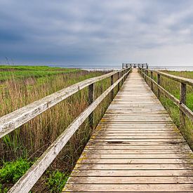 Boardwalk to a viewpoint near the village of Nebel on the island of A by Rico Ködder