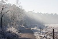 Paysage froid