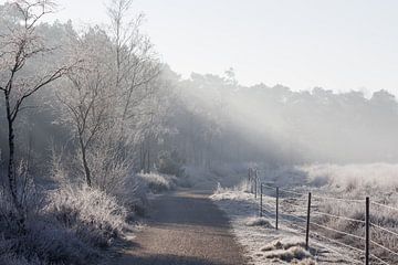 Winter landschap van Daniëlle Kuijpers