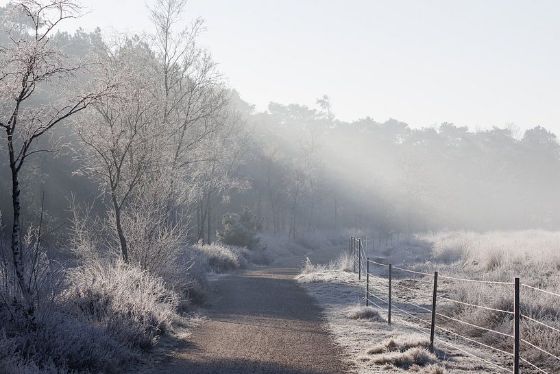 Winter landschap van Daniëlle Kuijpers