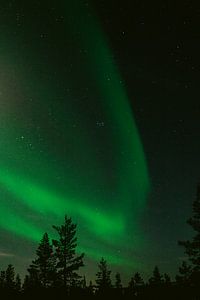 Aurore boréale en Laponie finlandaise || Cercle arctique, Finlande sur Suzanne Spijkers