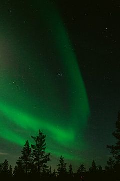 Nordlicht in Finnisch-Lappland || Polarkreis, Finnland von Suzanne Spijkers